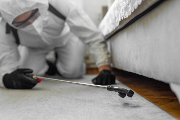 Professional Bed Bug Control technician working in Palo Alto, CA