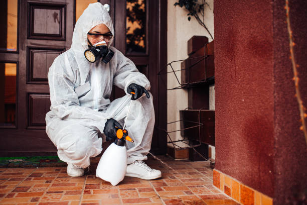 Reliable Bed Bug Control contractor in Palo Alto, CA by Nex Pest Control