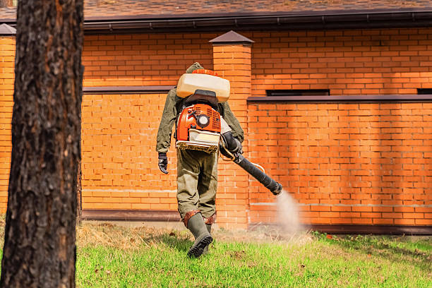Trusted Bed Bug Control service in Palo Alto, CA - Nex Pest Control
